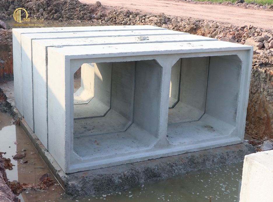 Cống hộp đôi đúc sẵn